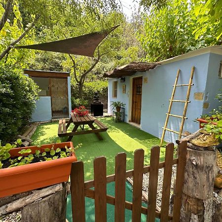 New Paradaise Art Gallery Otel Xàtiva Dış mekan fotoğraf