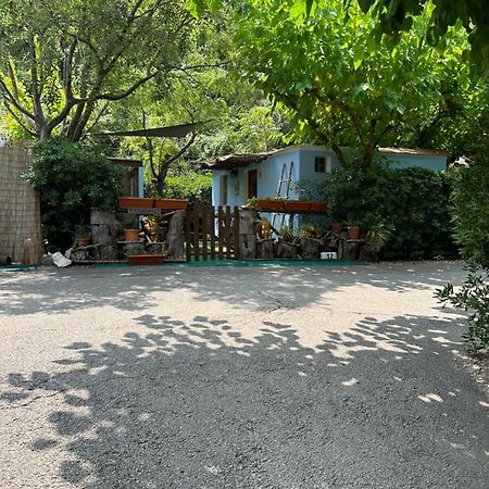 New Paradaise Art Gallery Otel Xàtiva Dış mekan fotoğraf