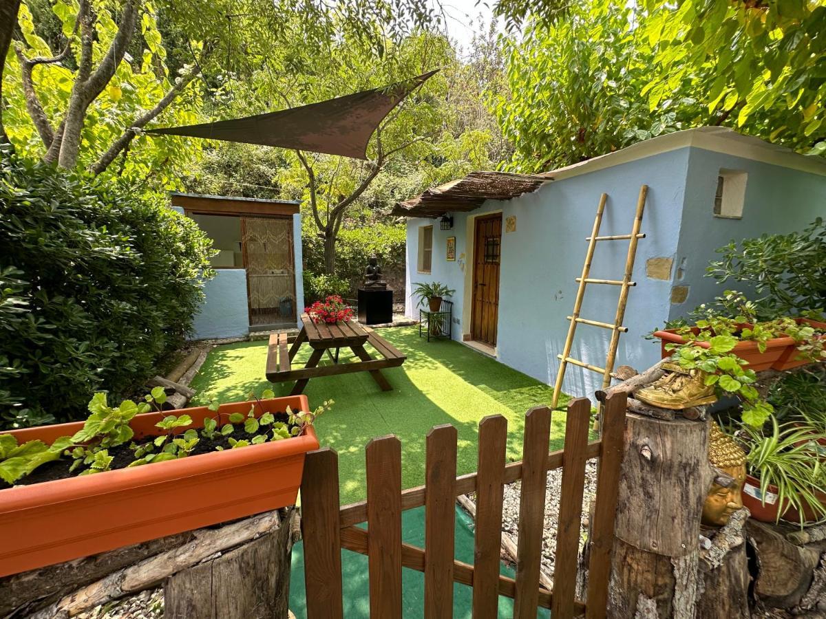 New Paradaise Art Gallery Otel Xàtiva Dış mekan fotoğraf
