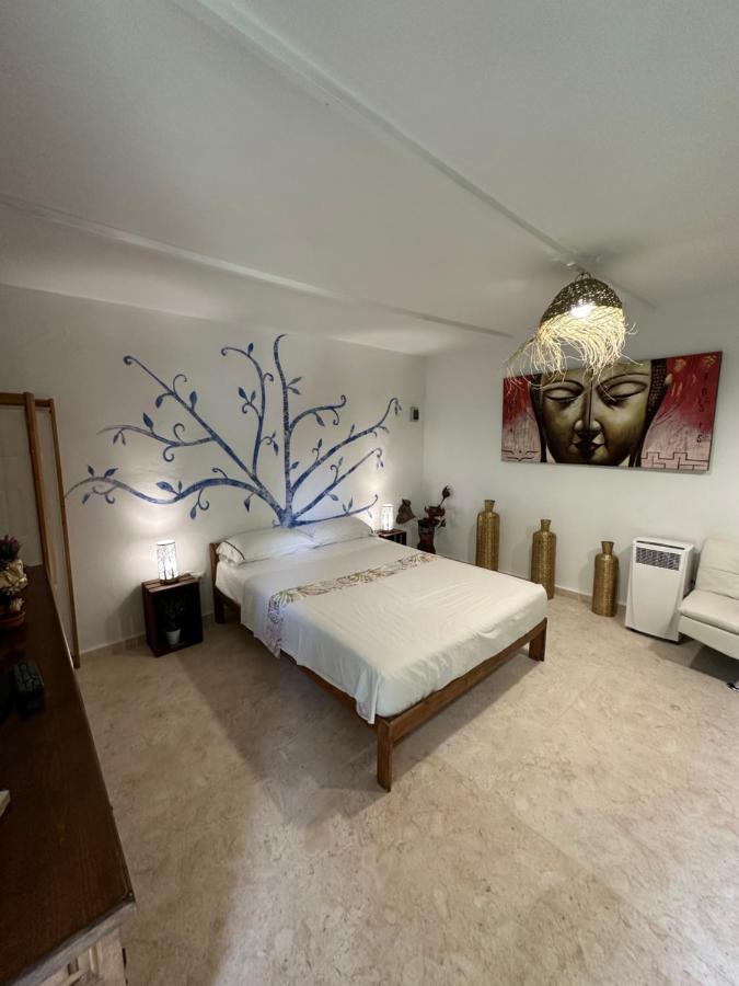 New Paradaise Art Gallery Otel Xàtiva Dış mekan fotoğraf