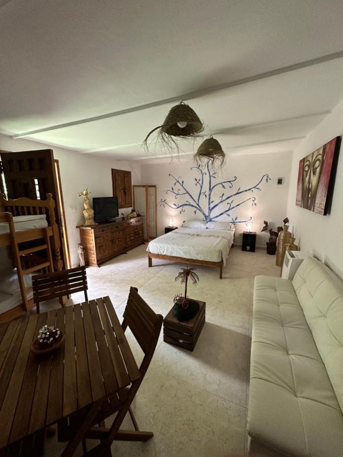 New Paradaise Art Gallery Otel Xàtiva Dış mekan fotoğraf