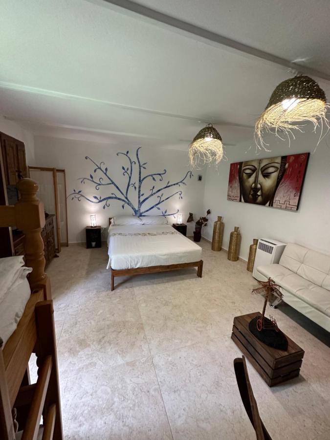New Paradaise Art Gallery Otel Xàtiva Dış mekan fotoğraf