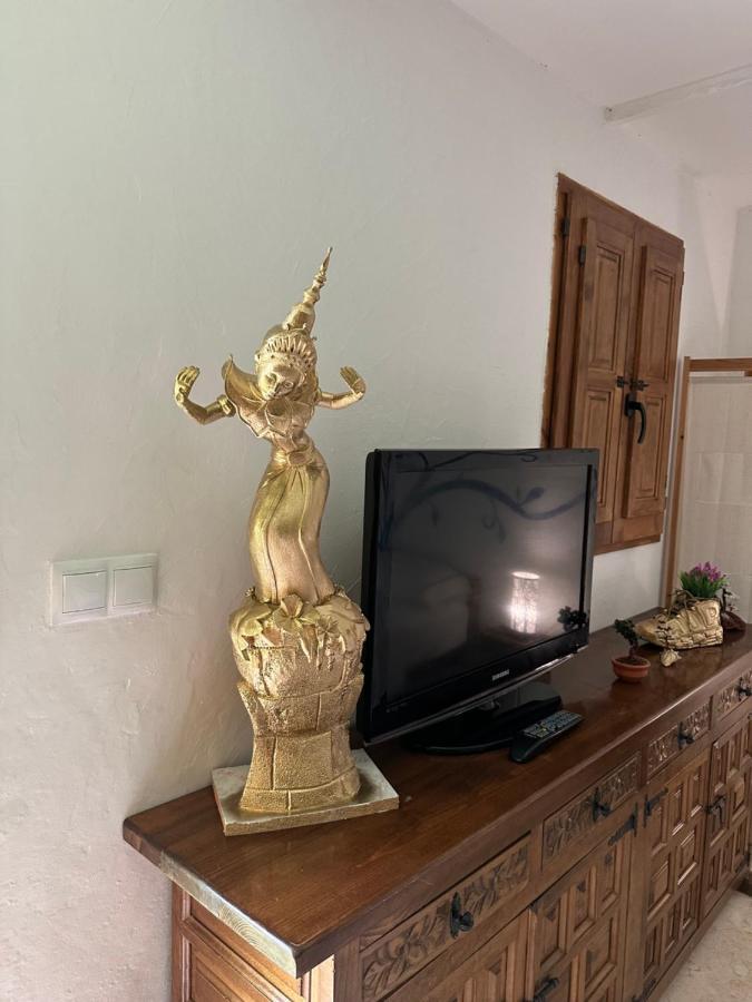 New Paradaise Art Gallery Otel Xàtiva Dış mekan fotoğraf