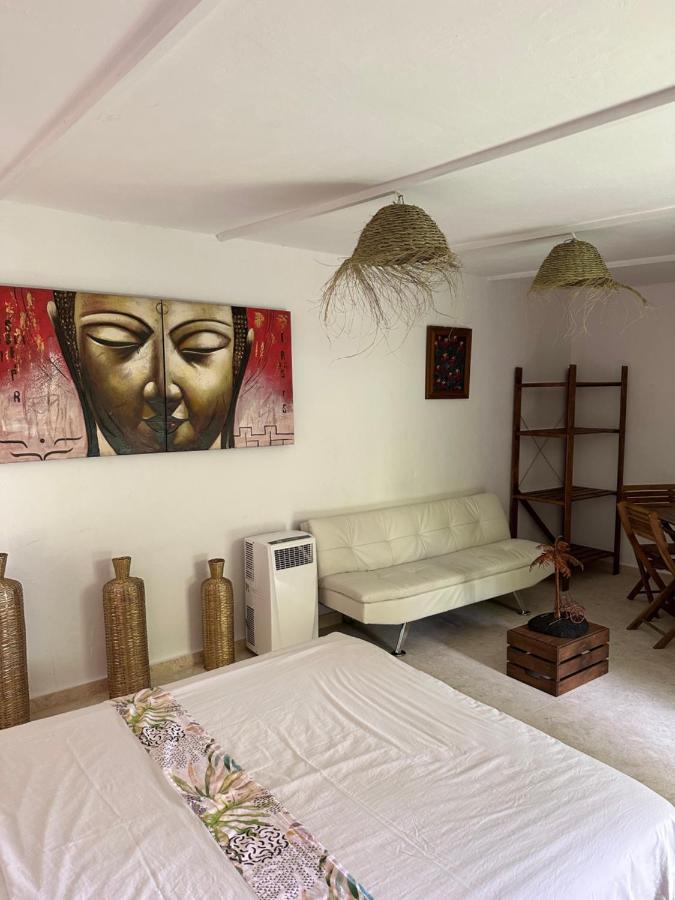 New Paradaise Art Gallery Otel Xàtiva Dış mekan fotoğraf