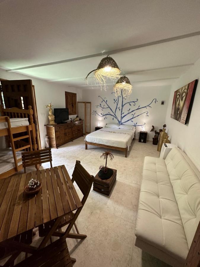New Paradaise Art Gallery Otel Xàtiva Dış mekan fotoğraf